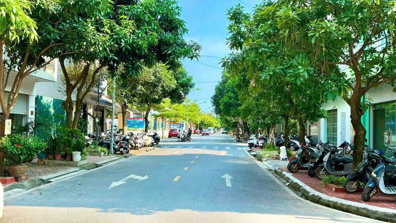 Bán Lô Đất Mặt Phố Trần Nguyên Đán 👉 Ngay Cổng Trường Marie Curie TPHD - ảnh 2