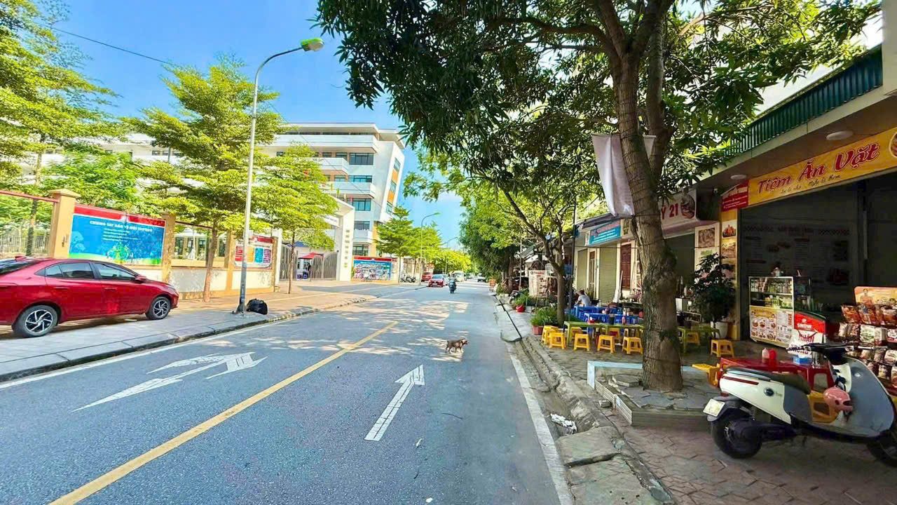 Bán Lô Đất Mặt Phố Trần Nguyên Đán 👉 Ngay Cổng Trường Marie Curie TPHD