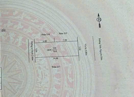 Bán Lô Đất Mặt Phố Trần Nguyên Đán 👉 Ngay Cổng Trường Marie Curie TPHD - ảnh 3